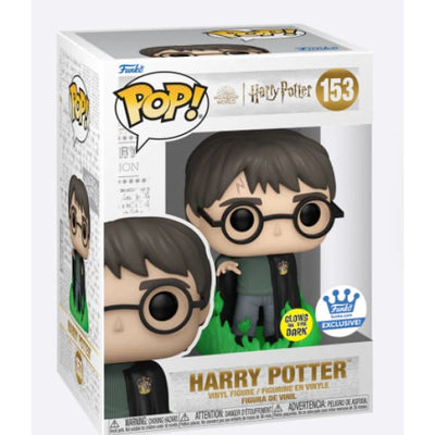 Figurine POP Harry Potter with Floo Poweder (Glow in the Dark)